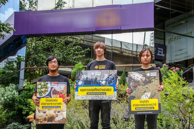 รายงาน “ธนาคารเพื่อสัตว์ ปี 2568” ชี้ชัด: 58% ของธนาคารทั่วโลกส่วนใหญ่ยังเพิกเฉย ต่อสวัสดิภาพสัตว์ ซิเนอร์เจีย แอนนิมอล จี้เร่งปรับนโยบายด่วน!